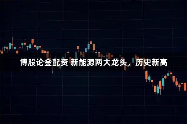 博股论金配资 新能源两大龙头，历史新高