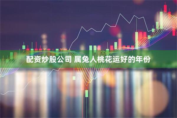 配资炒股公司 属兔人桃花运好的年份