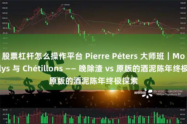 股票杠杆怎么操作平台 Pierre Péters 大师班｜Montjolys 与 Chétillons —— 晚除渣 vs 原版的酒泥陈年终极探索