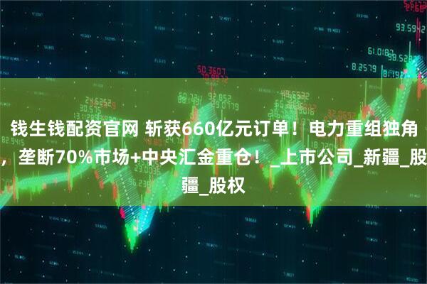 钱生钱配资官网 斩获660亿元订单！电力重组独角兽，垄断70%市场+中央汇金重仓！_上市公司_新疆_股权