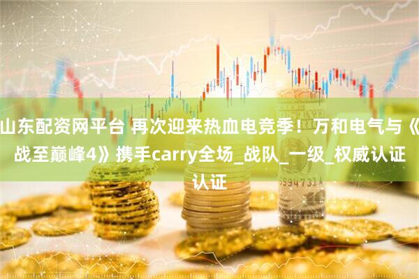 山东配资网平台 再次迎来热血电竞季！万和电气与《战至巅峰4》携手carry全场_战队_一级_权威认证