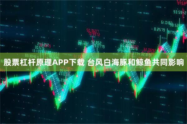 股票杠杆原理APP下载 台风白海豚和鲸鱼共同影响